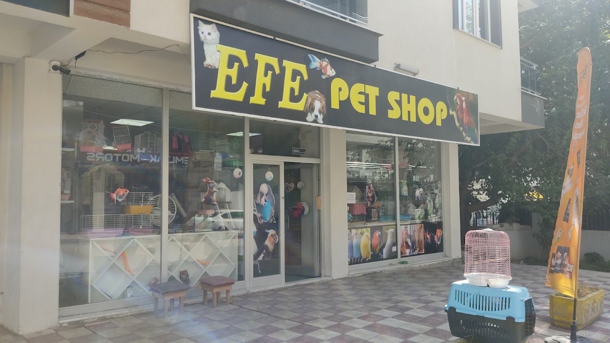 Van Efe Petshop