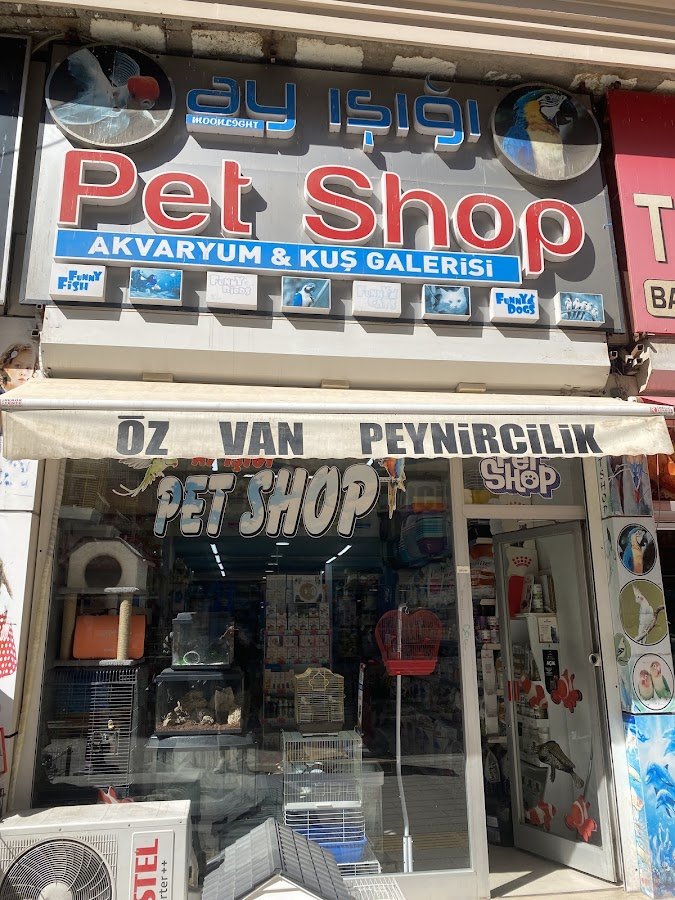 Ay Işığı Pet Shop ve Akvaryum