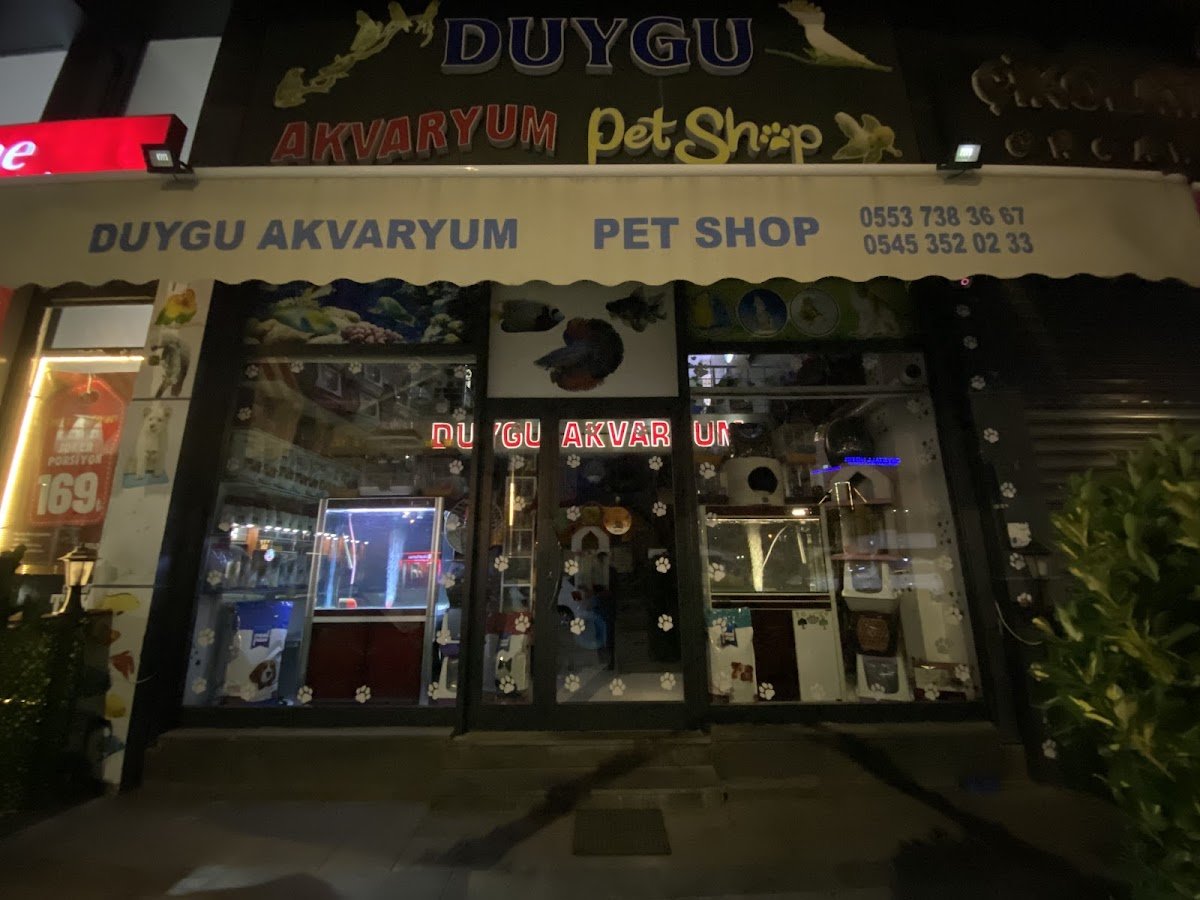 Duygu Akvaryum