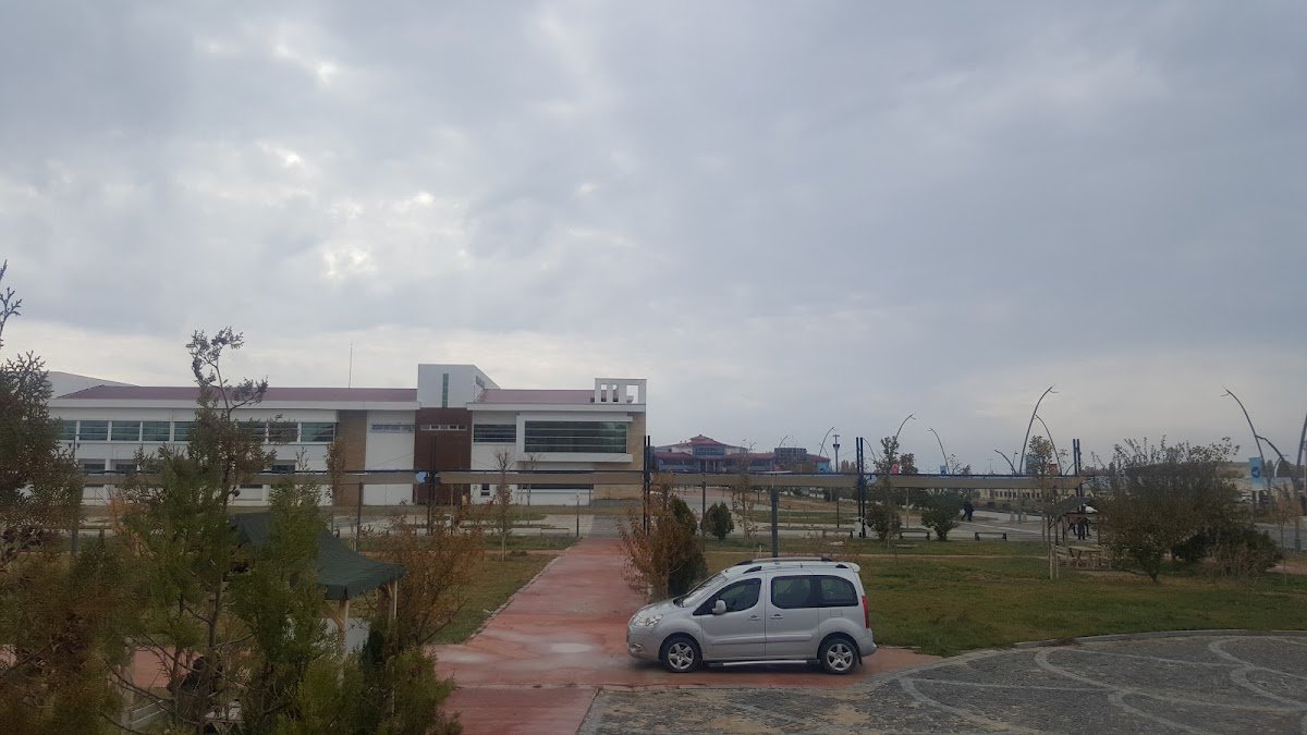 100. Yıl Üniversitesi