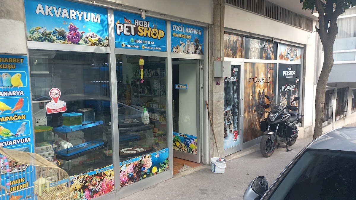 Trabzon Hobi Petshop