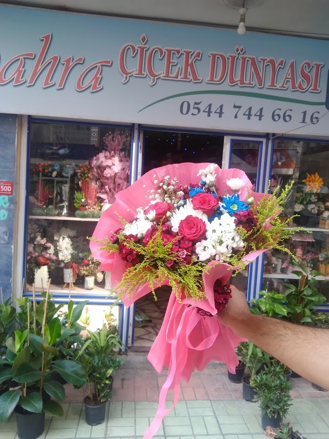 Siirt Sahra Çiçek Dünyası