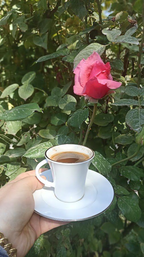 Maliye Parkıparkı