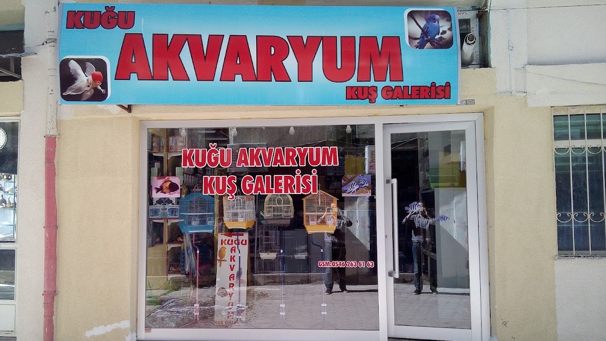Kuğu Akvaryum ve Kuş Galerisi