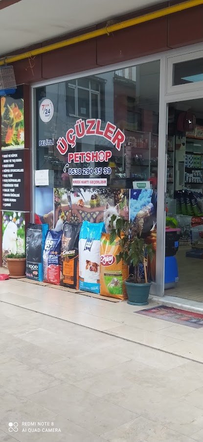 Pelitli Üçüzler Petshop