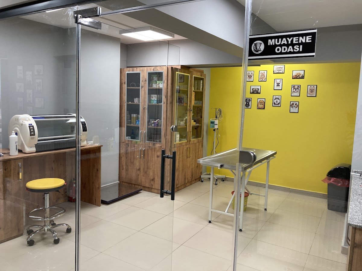 Uşak Vıta Veteriner Kliniği