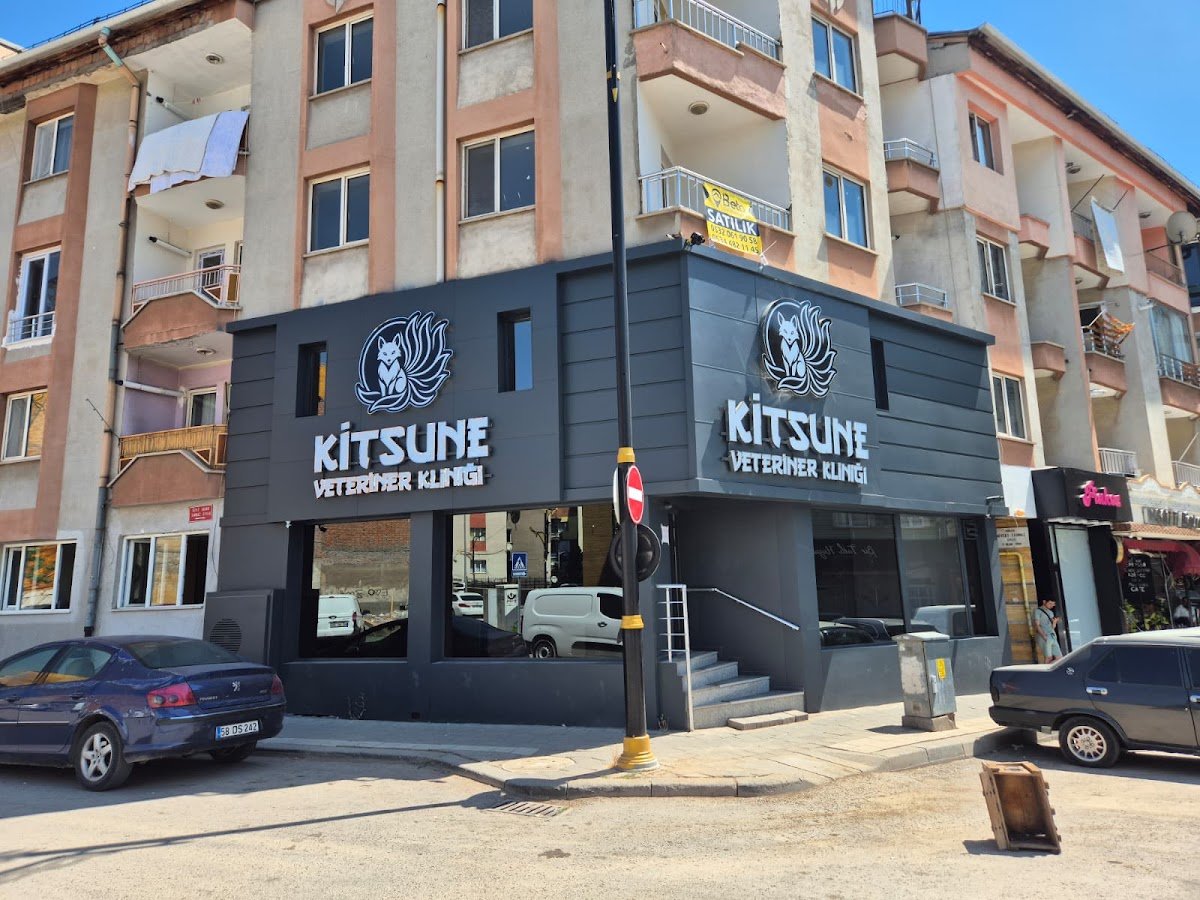 Kitsune Veteriner Kliniği