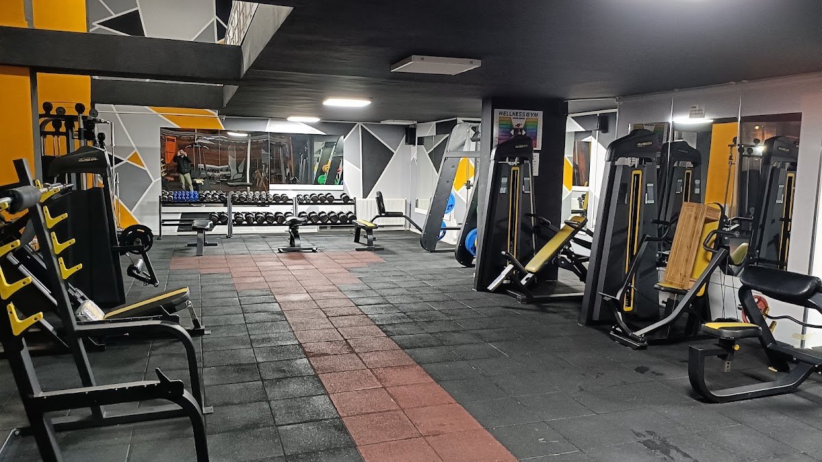 Wellness Gym