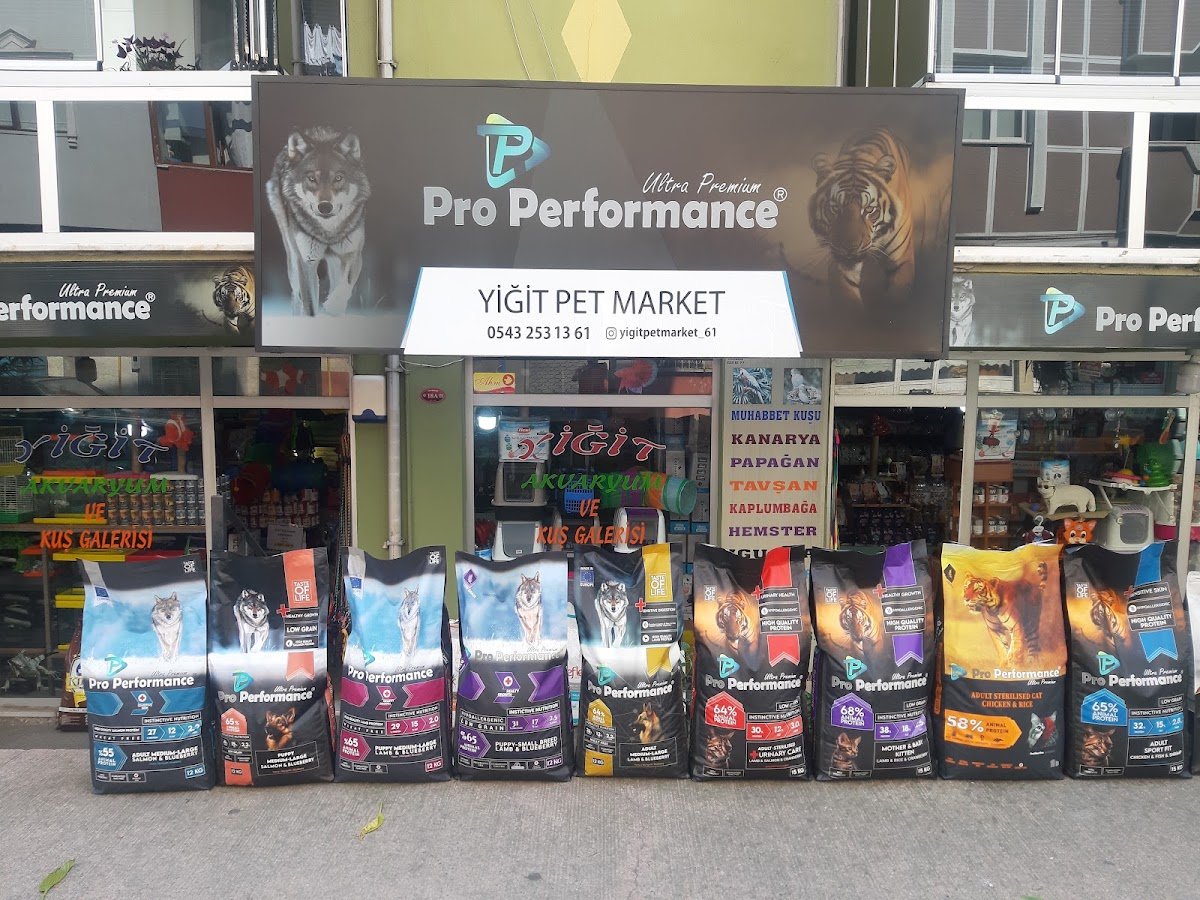 Yiğit Pet Market 1 ( Pet Shop )