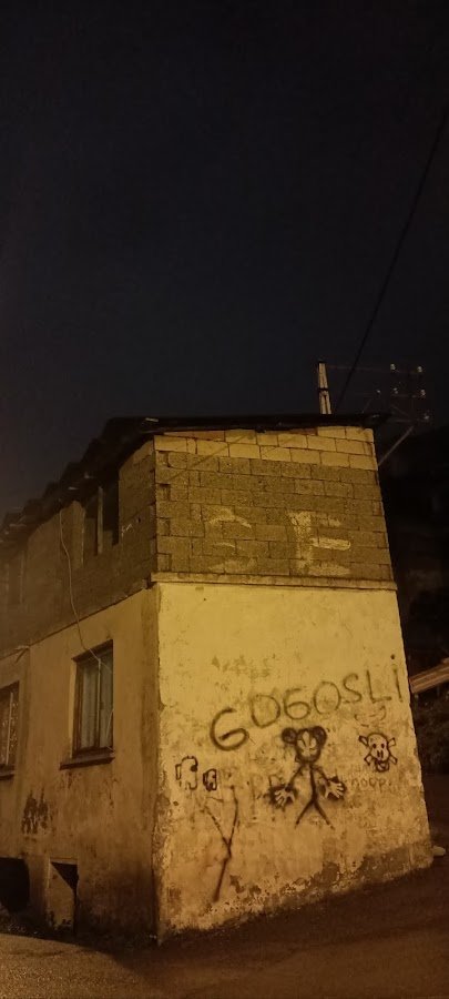 Gogosli Mahallesi