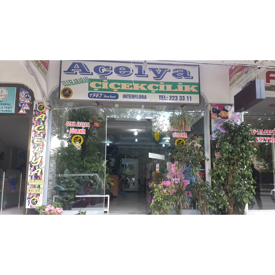 Siirt Çiçekçi Açelya Siirt Açelya Çiçek ve Çikolata
