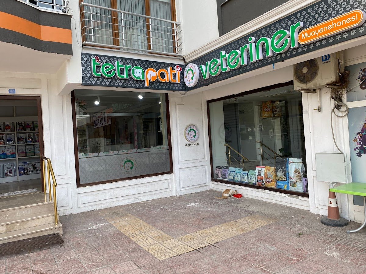 Tokat Tetrapati Veteriner Muayenehanesi
