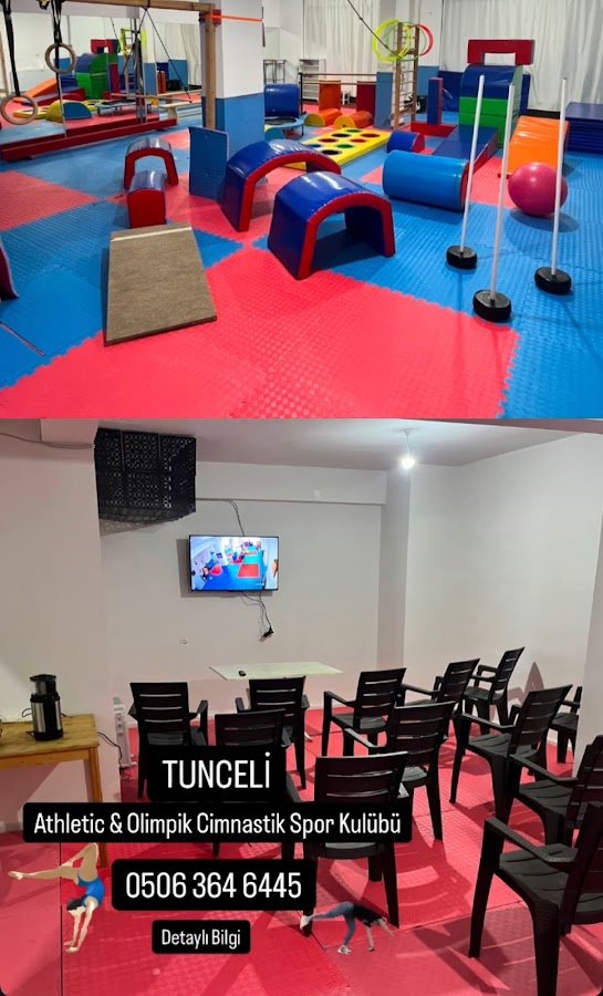 Tunceli Athletic Cimnastik Spor Kulübü