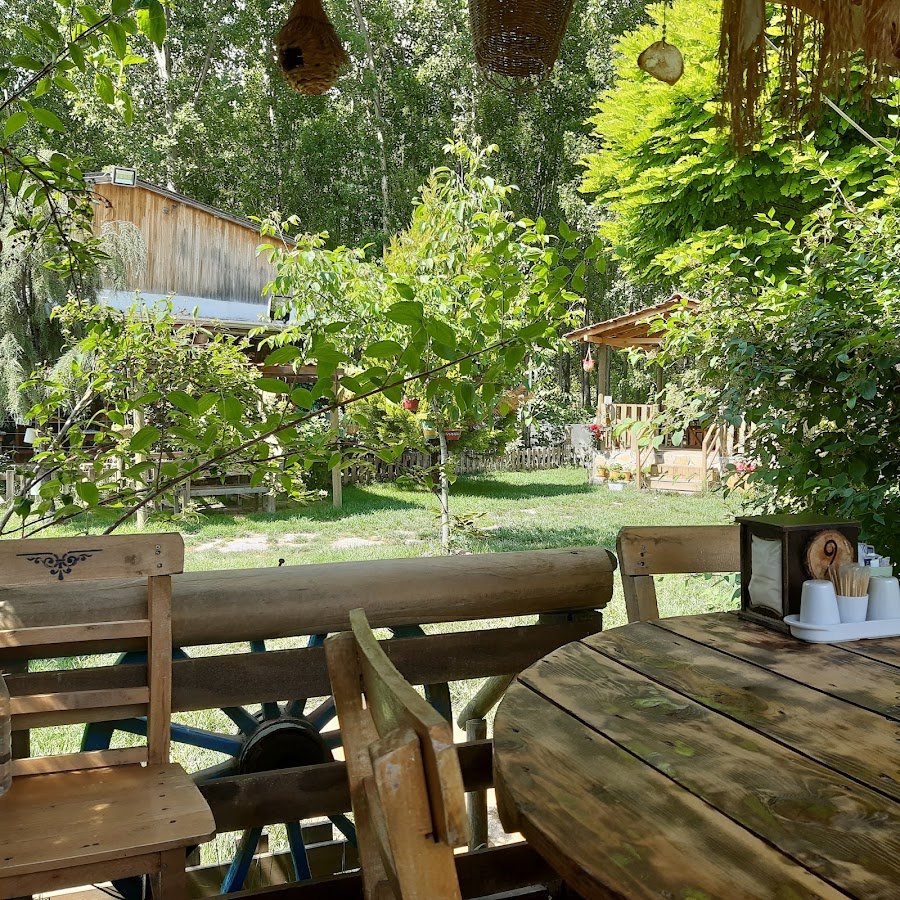 Aslan Balık Evi