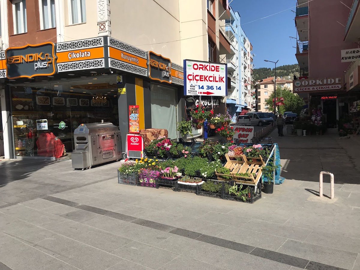 Orkide Çiçekçilik
