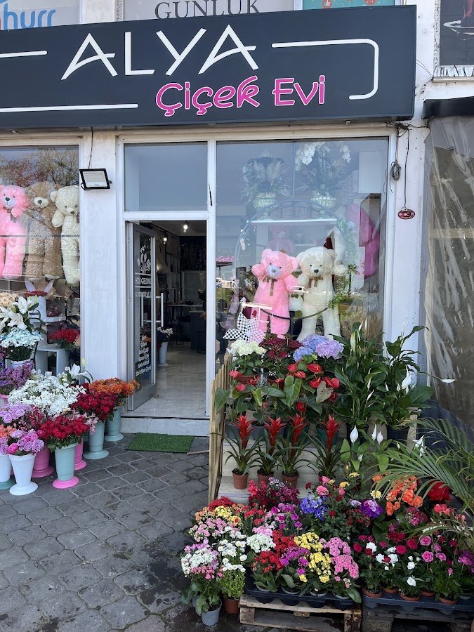 Trabzon Alya Çiçek Evi