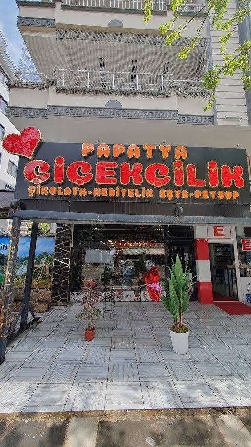 Papatya Çiçekçilik ve Çikolat