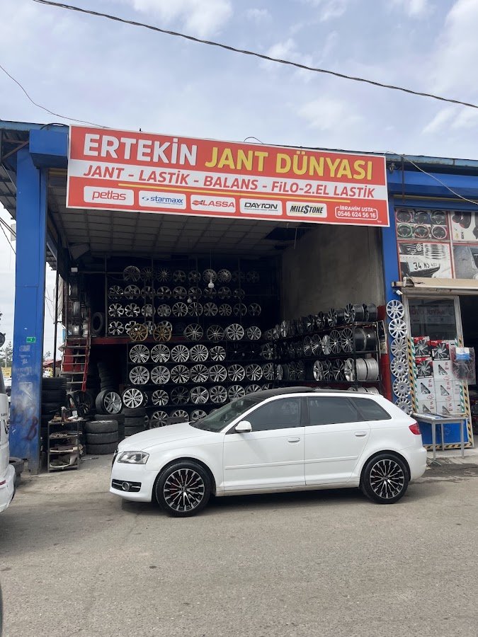 Ertekin Jant Dünyası