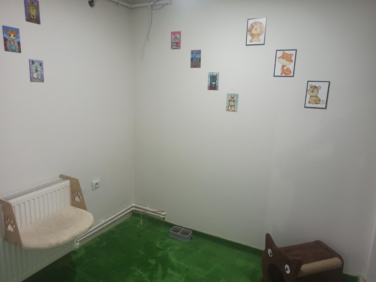 Van Tarçın Pet Veteriner Kliniği