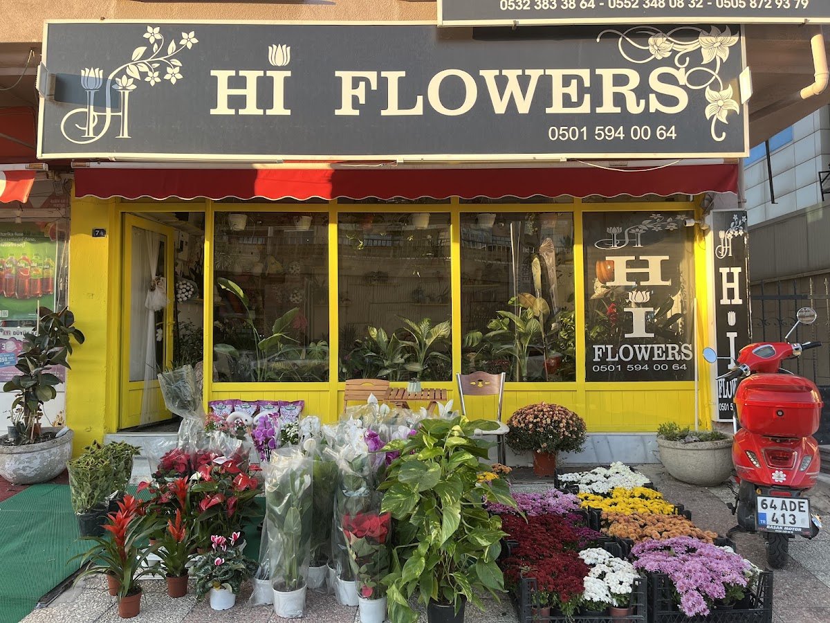 Hi Flowers