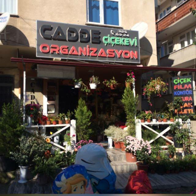Cadde Çiçek Evi