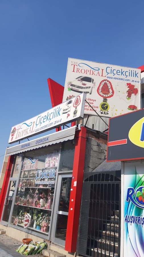 Van Tropikal Çiçekçilik Van Çiçekçi