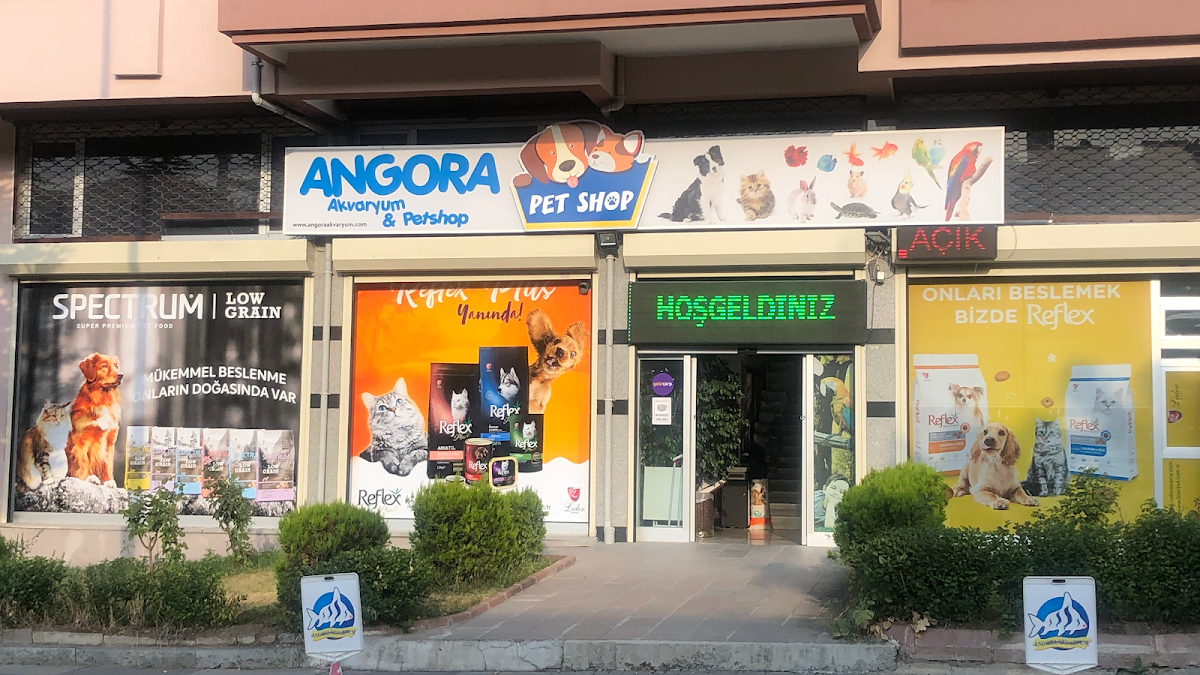 Angora Akvaryum & Petshop