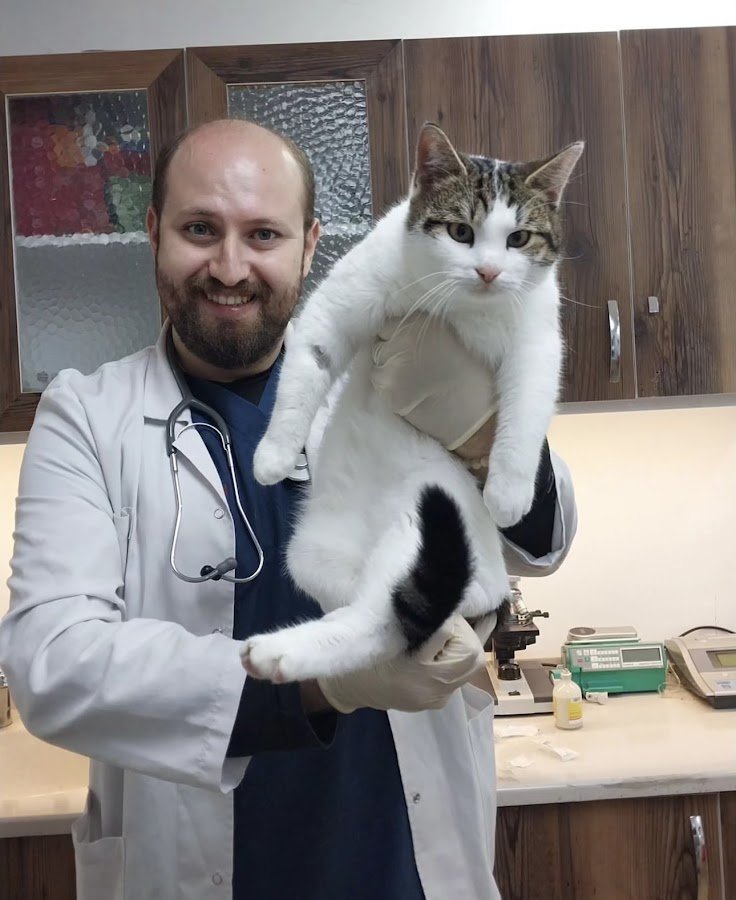 Minik Patiler Veteriner Kliniği