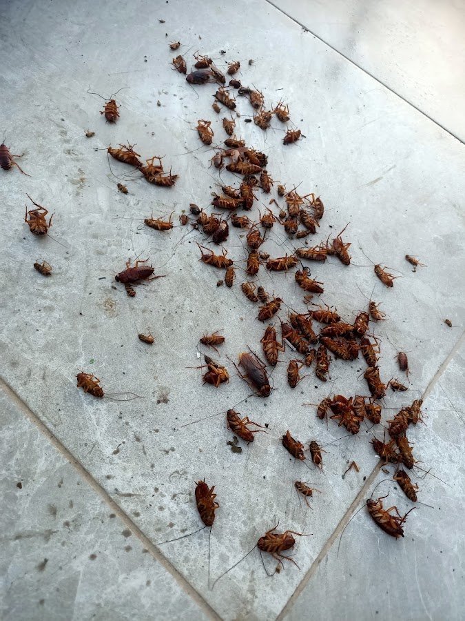 Duru İlaçlama Çevre Sağlığı Hizmetleri