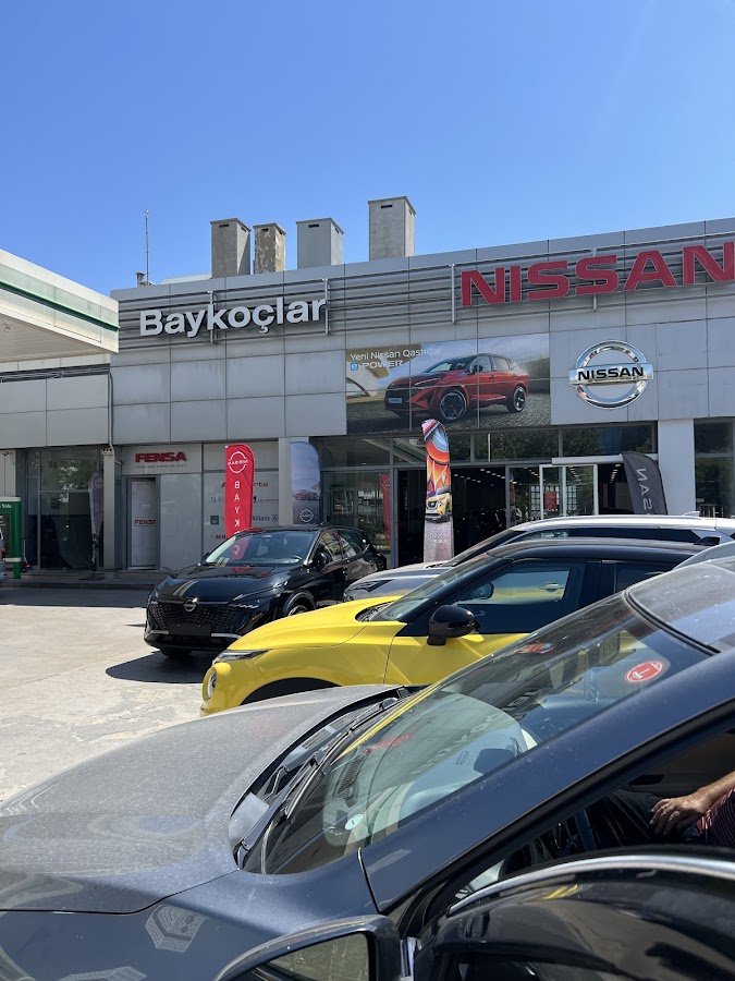 Baykoçlar