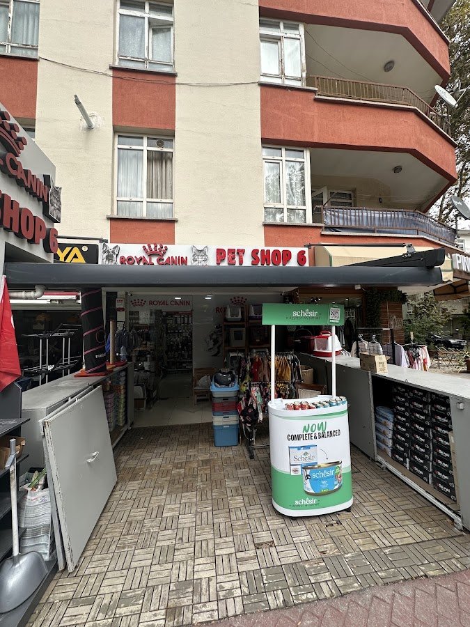 Pet Shop 6