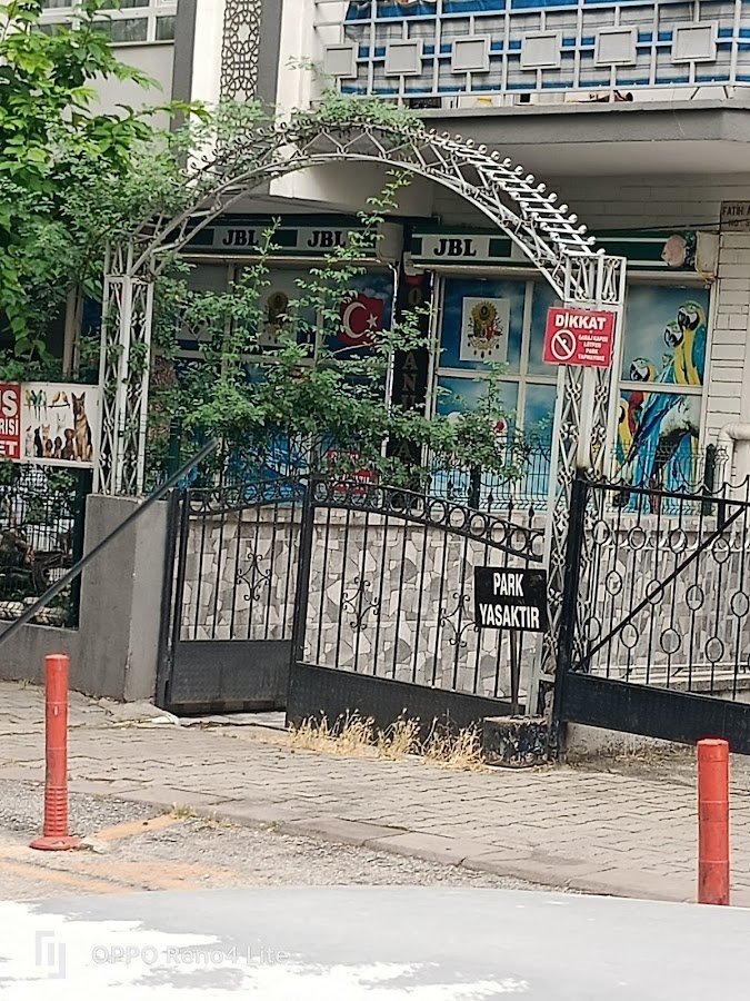 Okyanus Akvaryum Pet Store