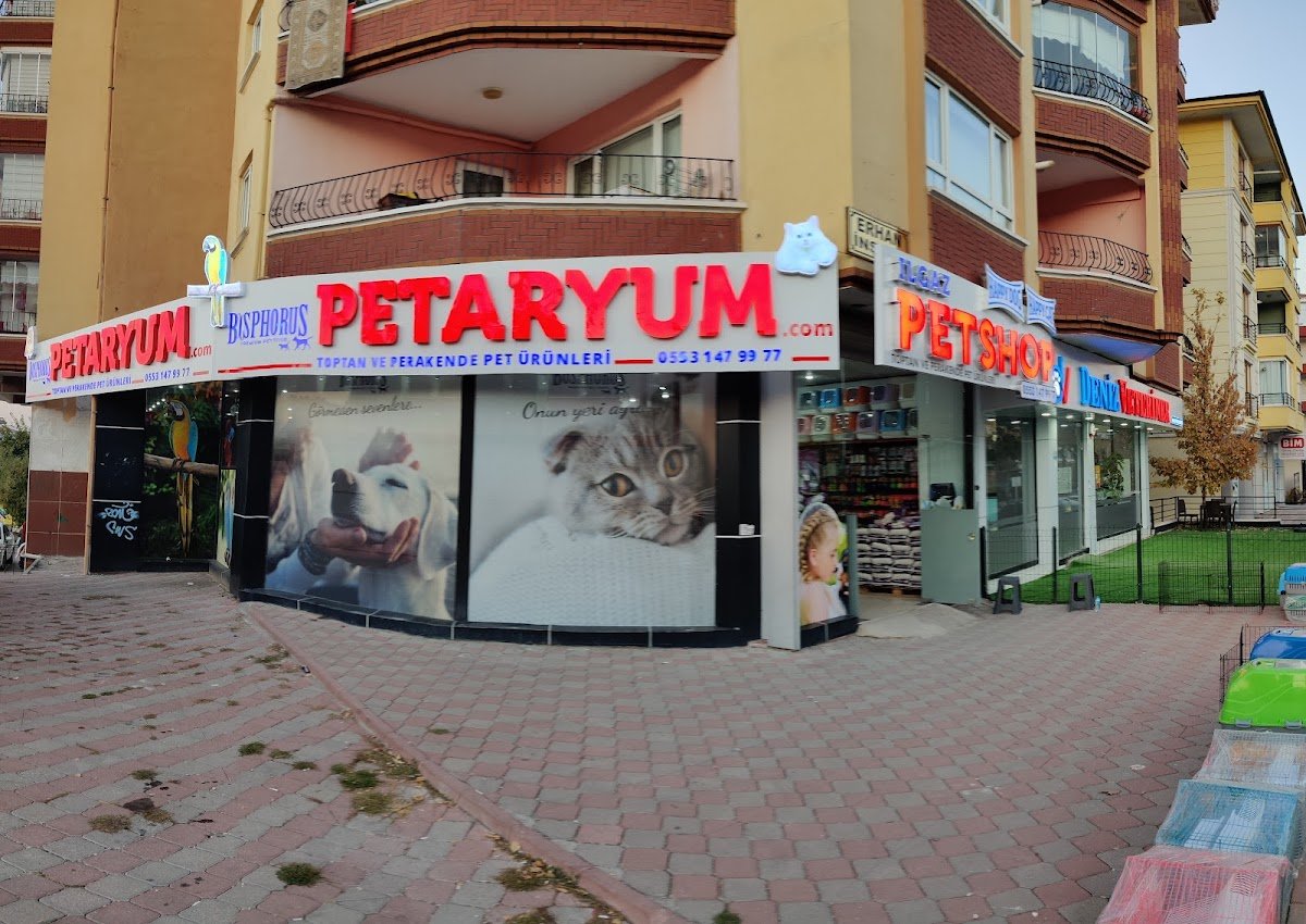 Petaryum Ilgaz Pet