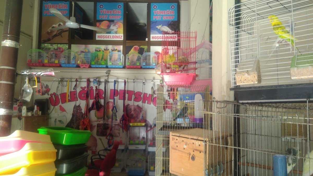 Yüreğir Petshop Haris Tufan