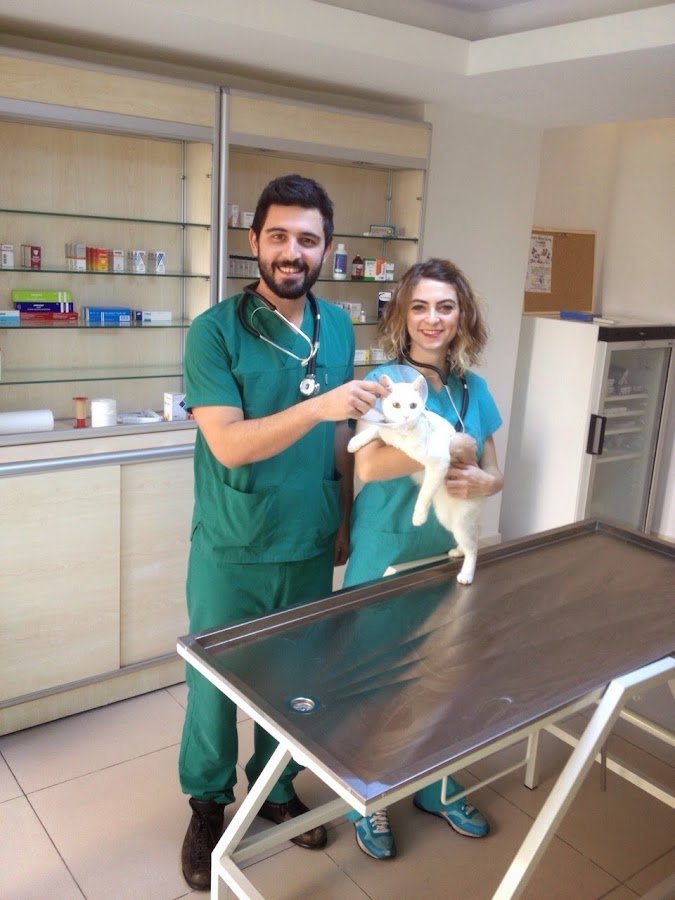 Jungle Veteriner Kliniği