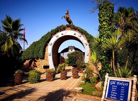 Orfe Tatil Köyü