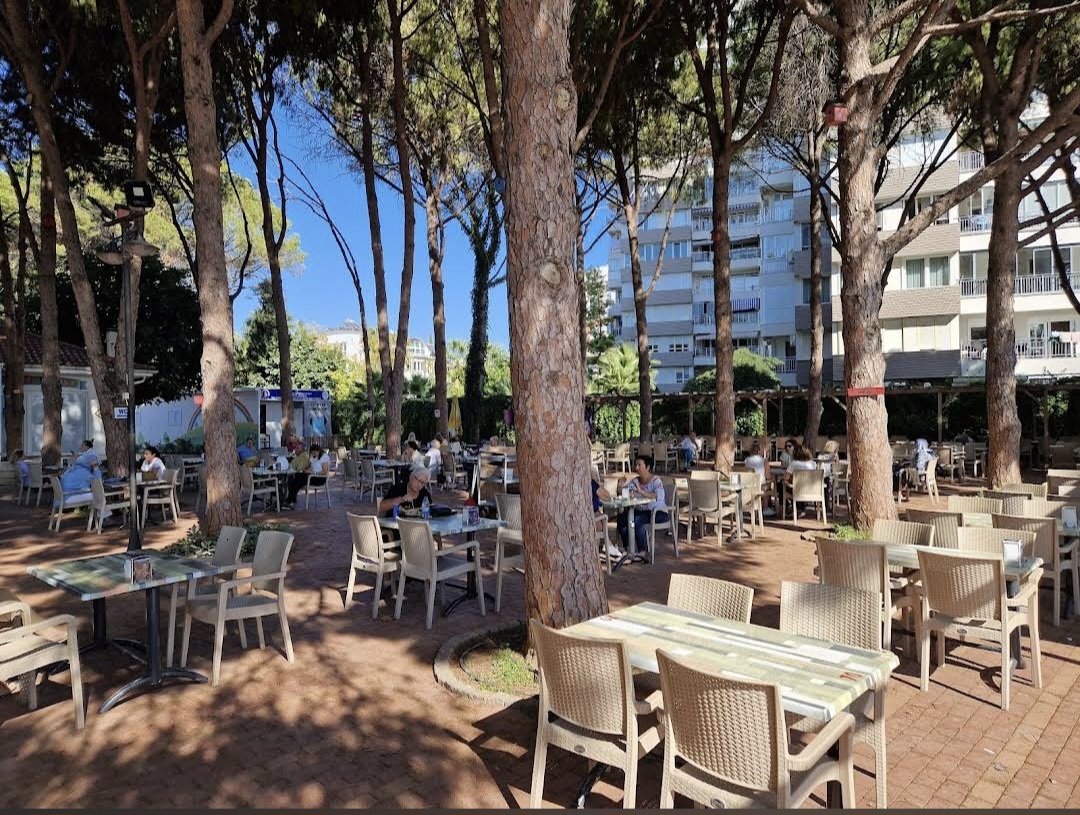 Engelsiz Cafe