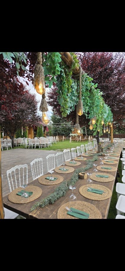 Dream Garden