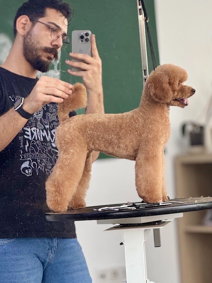 Liman Pet Kuaför Salonu / Erkin Yiğit