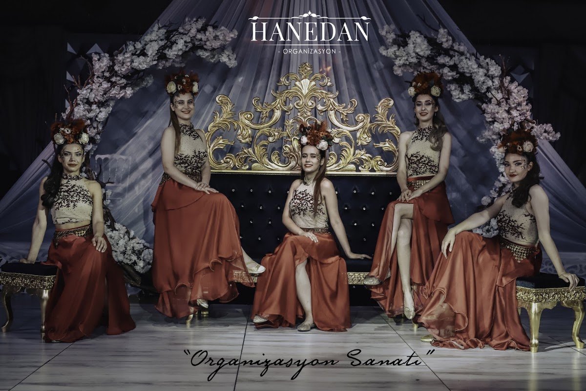 Hanedan Organizasyon
