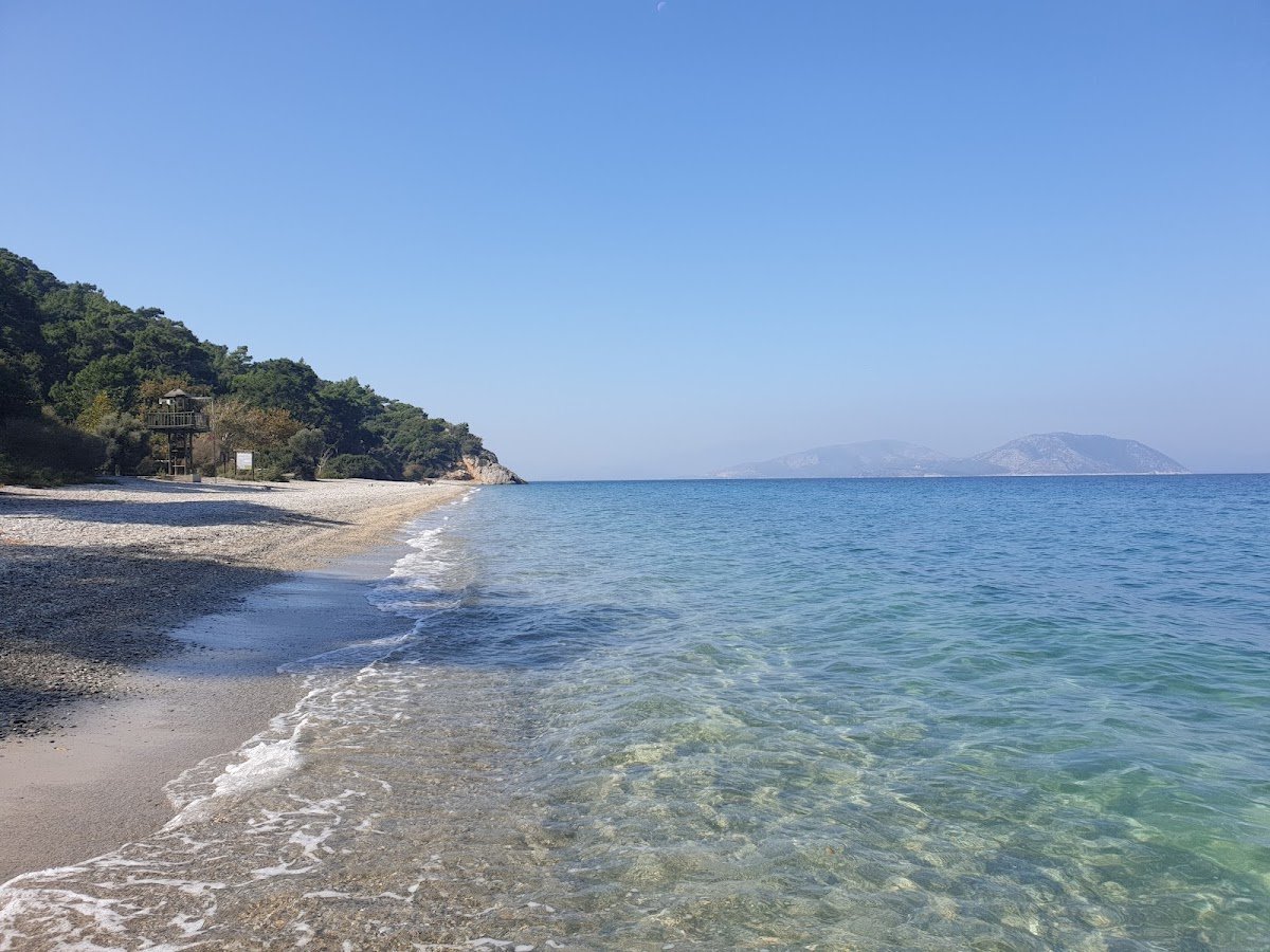 Kalamaki Plajı