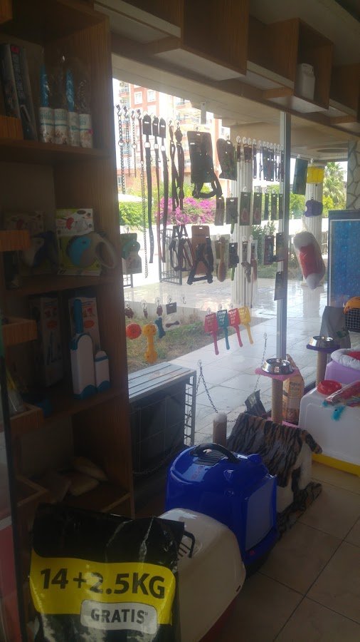 Dani's Petshop
