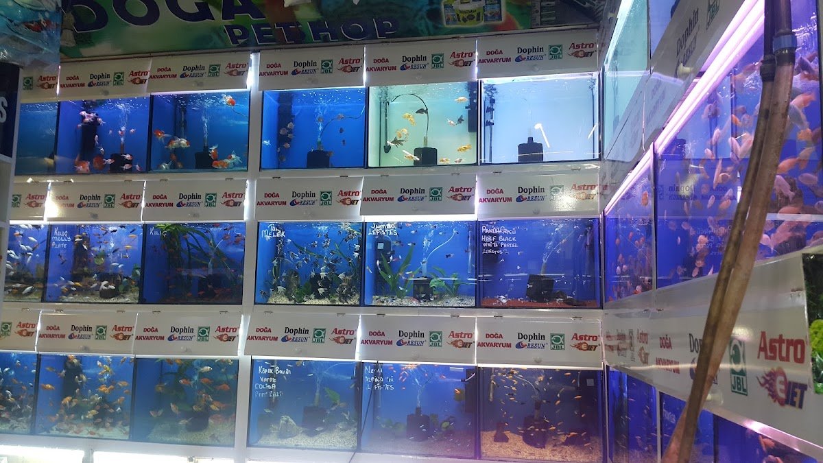 Doğa Pet Shop
