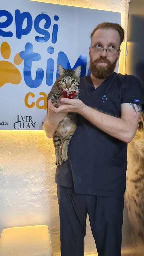 Hepsi Patime Cat's Hotel | Antalya Kedi Oteli