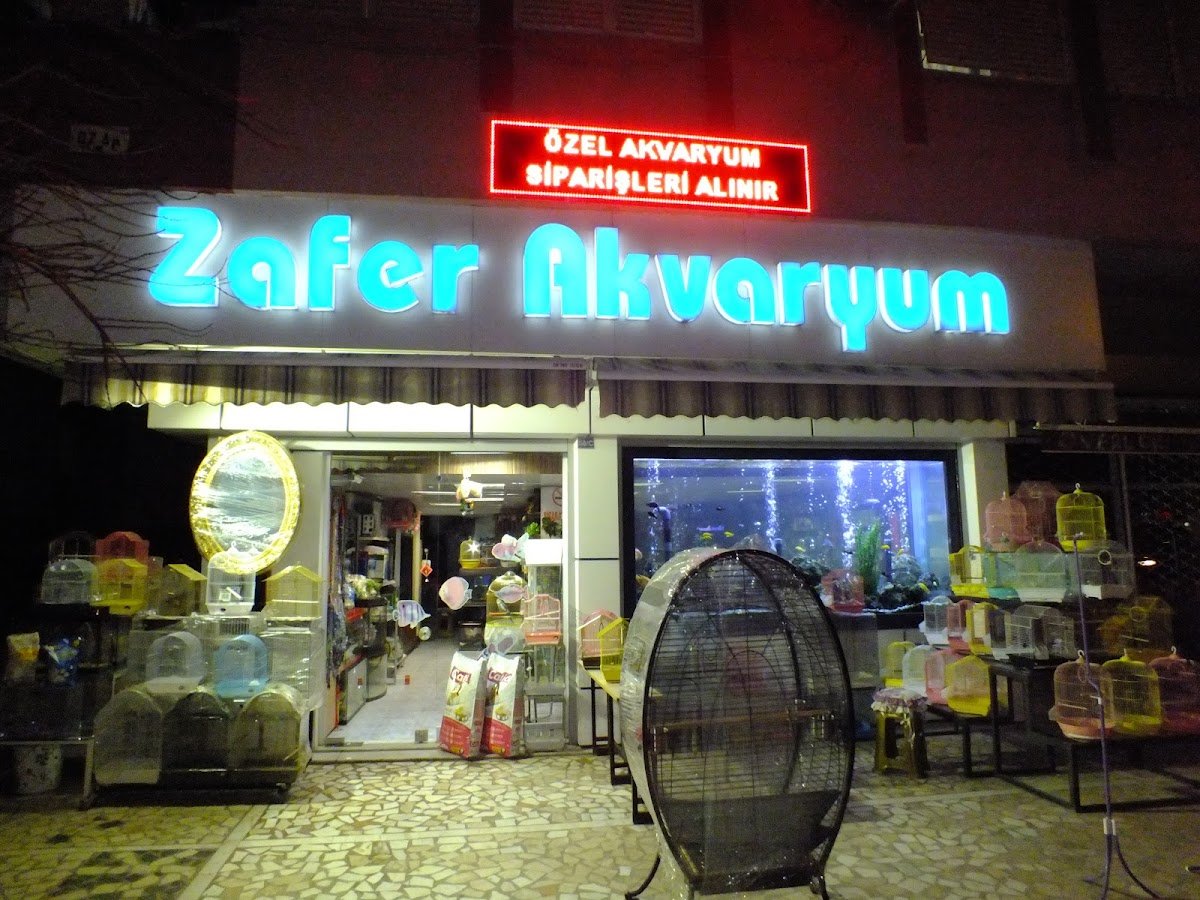 Zafer Akvaryum