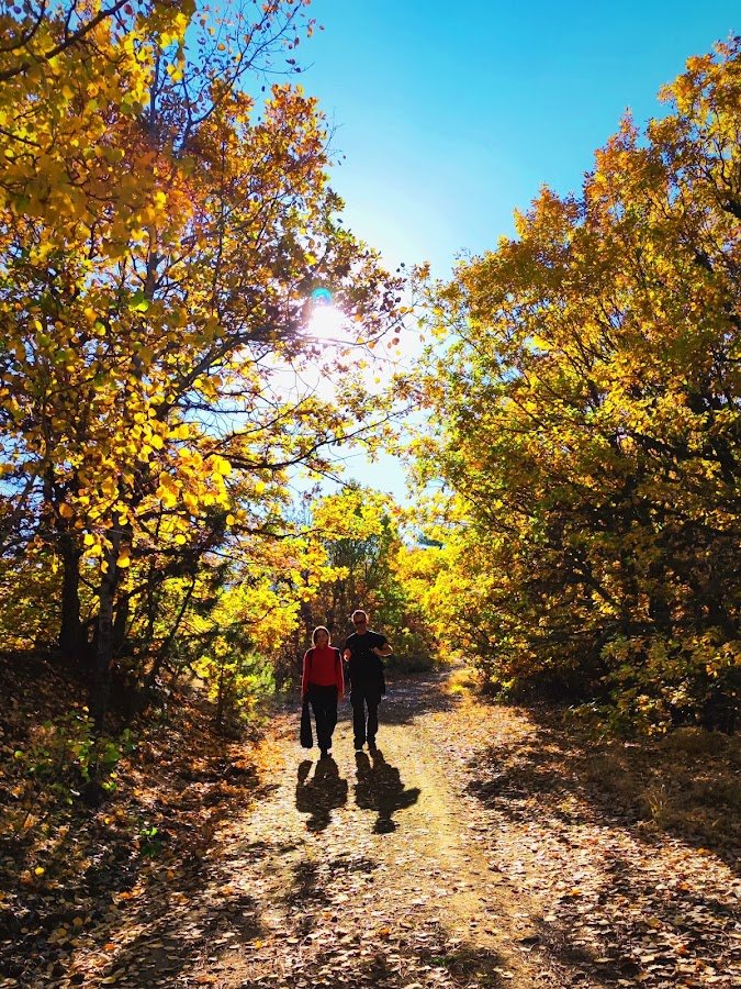 Green Life Travels | Seyahat Acentası | Gezi | Tur - Seyahat - Bungalov