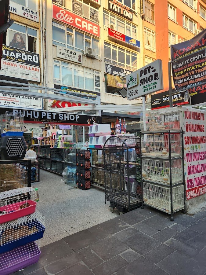 Kızılay Petshop