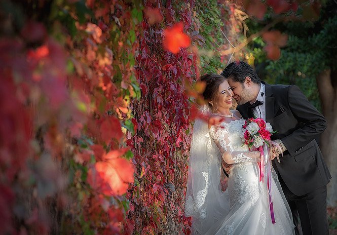 Foto Sedef — Sedef Hülagü - Konsept Bebek ve Aile Fotoğrafı