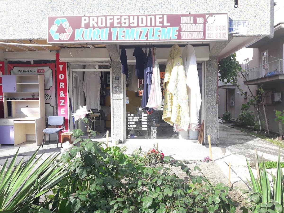 Profesyonel Kuru Temizleme