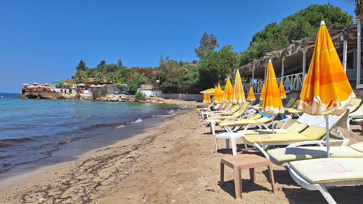 Paradise Plaj Cafe Bar